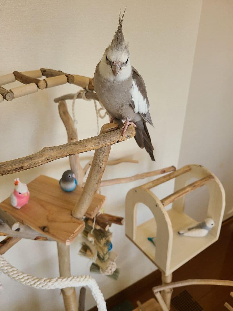 ③EMオーダーページ　バードアスレチック　ハンドメイド　流木