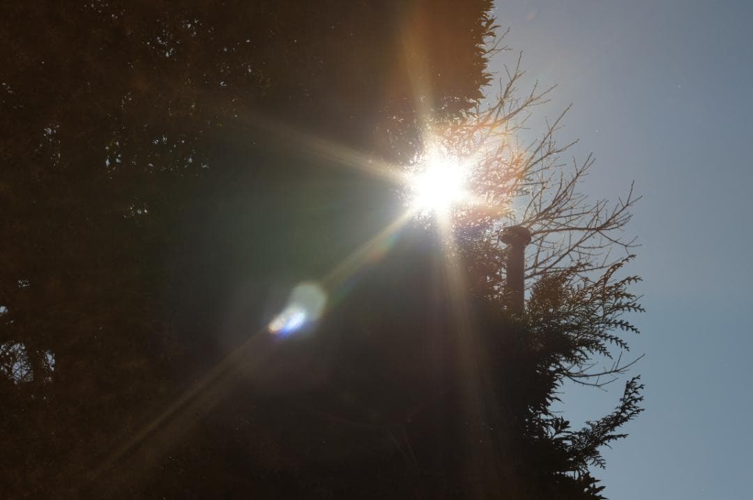 作例あり PENTAX Super Takumar 55mm f1.8 前期型