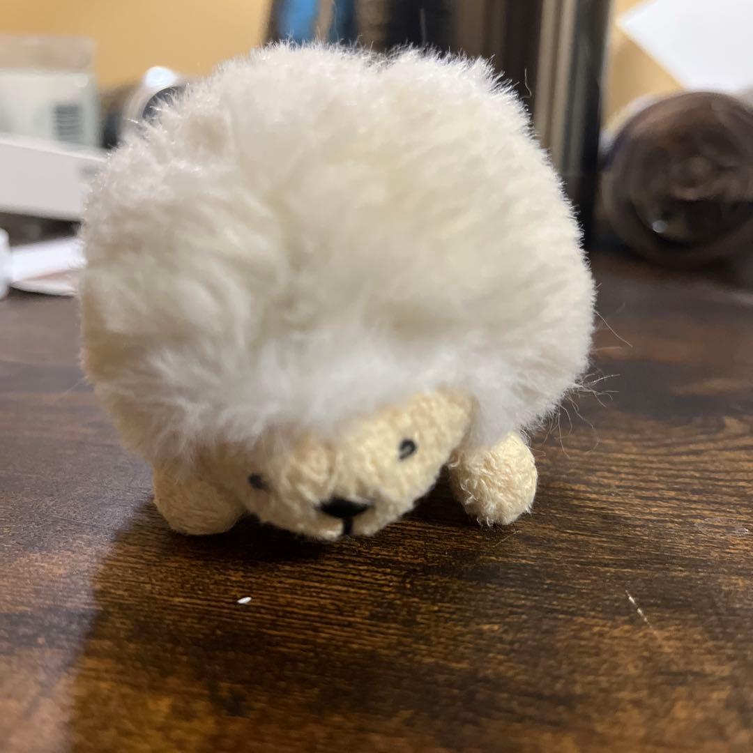 呪いのぬいぐるみ