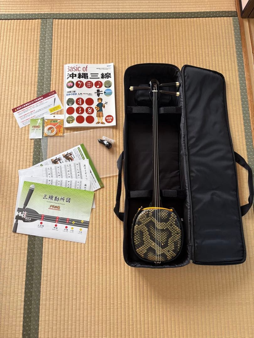 沖縄三線 初心者 入門者 専用ケース付