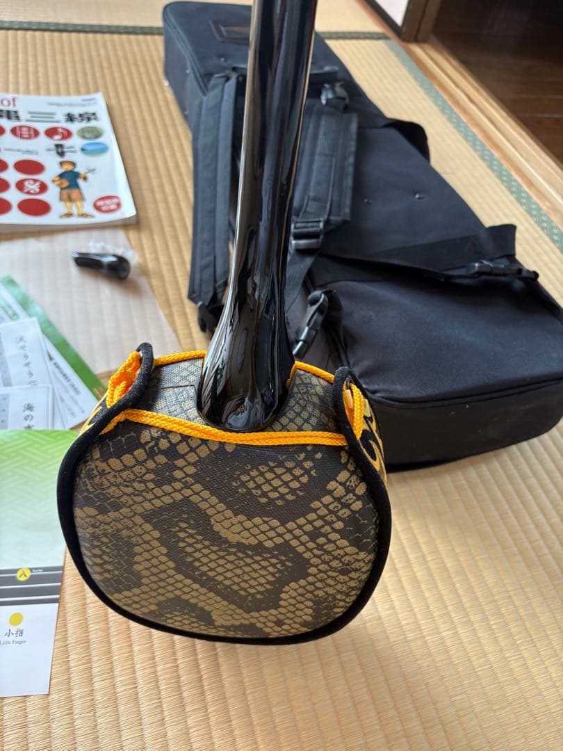 沖縄三線 初心者 入門者 専用ケース付