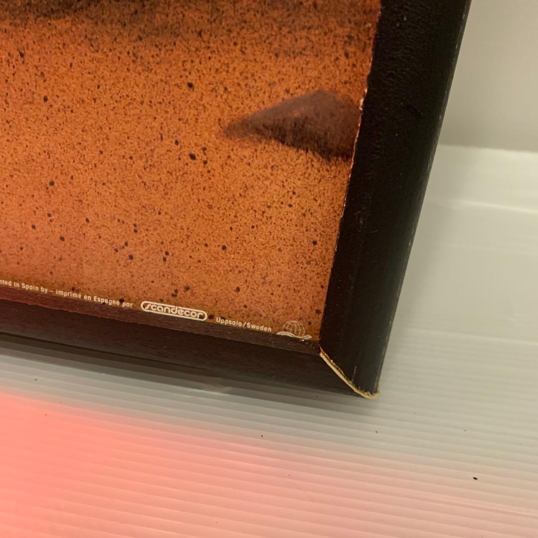 NEONETICS ネオン管アートパネル　WILDTHINGS