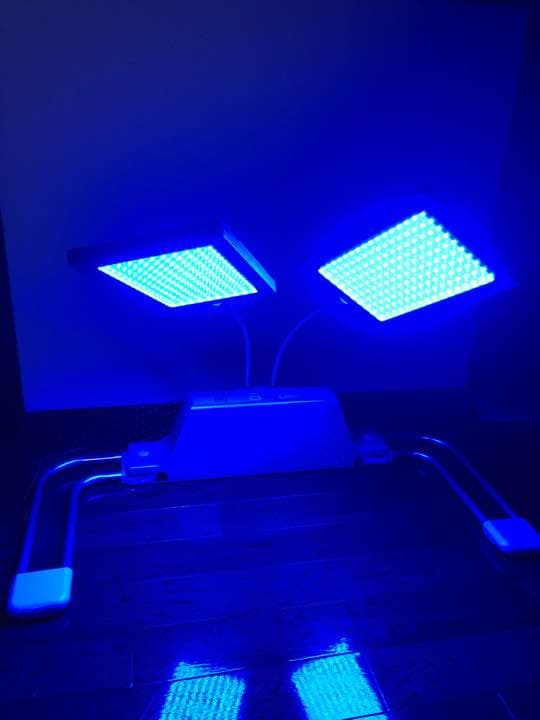 アガイアブルー