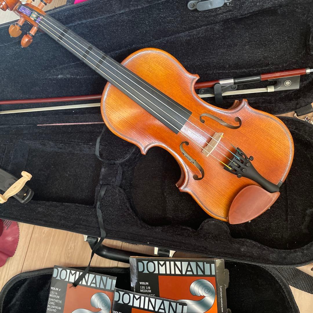 【希少】ヴァイオリン CARLO GIORDANO VS-2 1/8 バイオリン