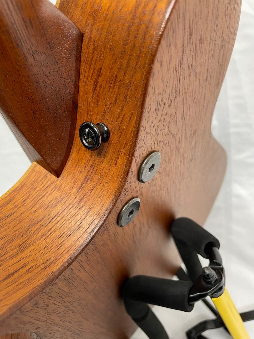 タコマ/Tacoma フラットマンドリン m-1