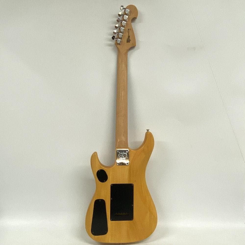 Washburn ワッシュバーン PRO エレキギター ソフトケース付き