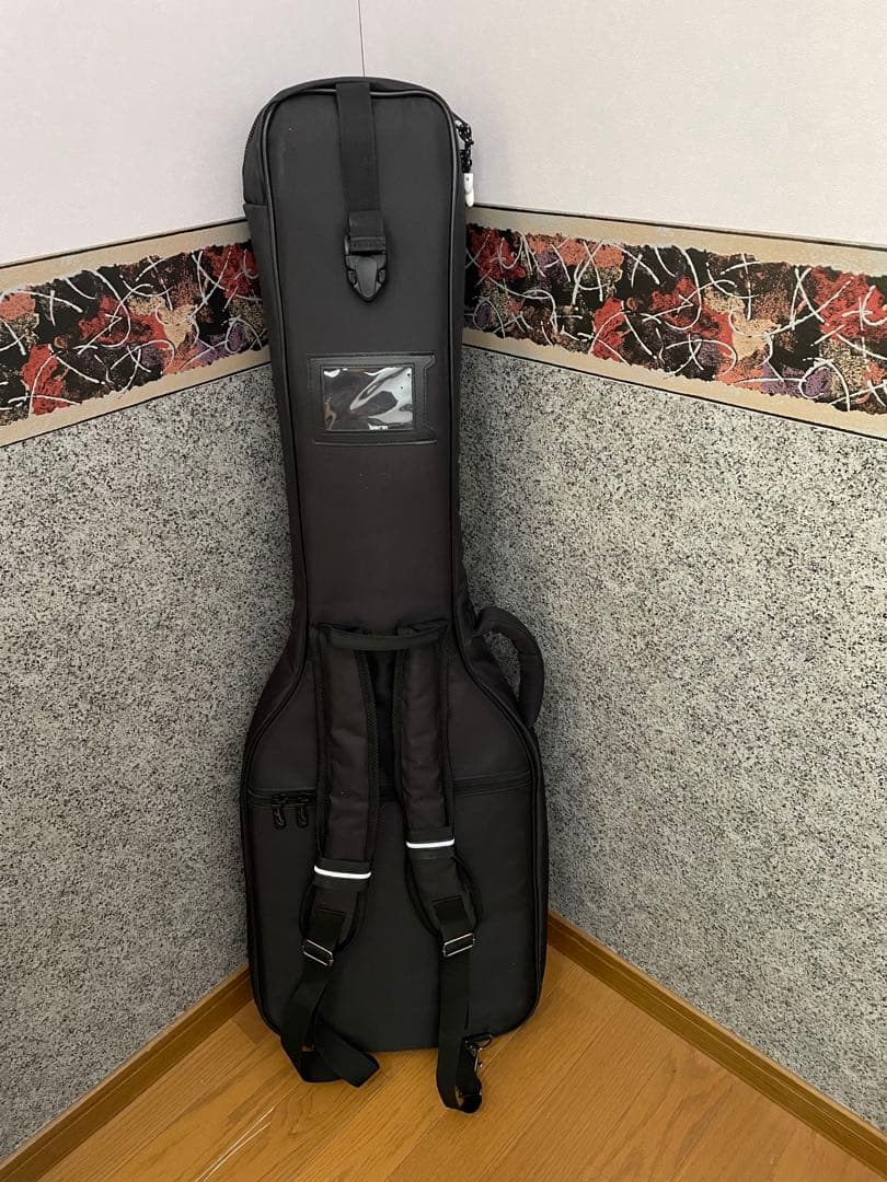 GODIN　ゴダン　Stadium HT テレキャスター