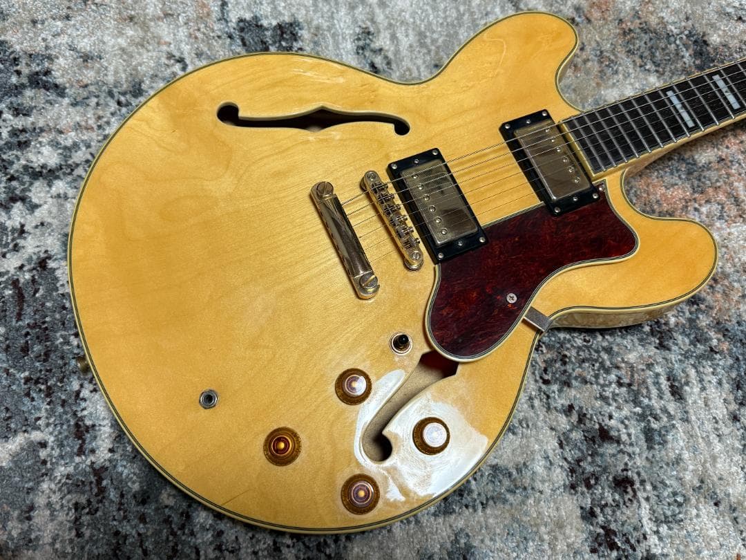 Epiphone SHERATON II 2014ｓ