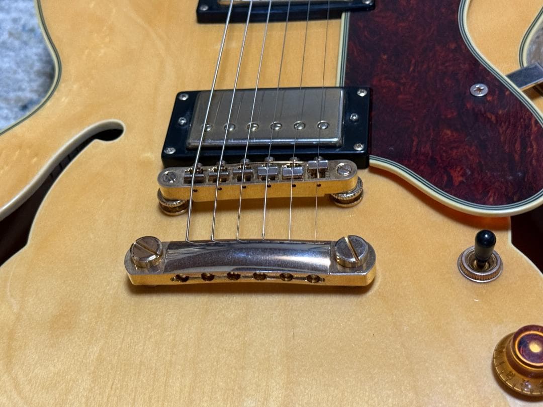 Epiphone SHERATON II 2014ｓ