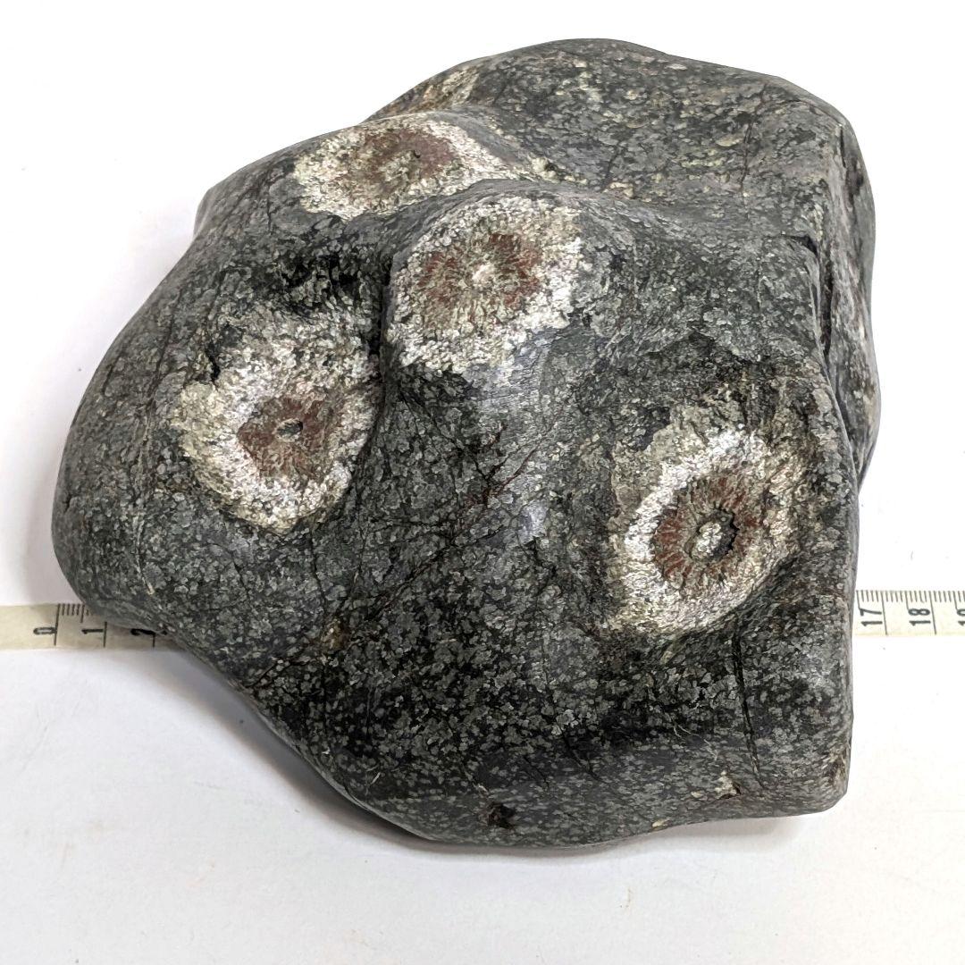 菊花石　天然石　オブジェ　置物