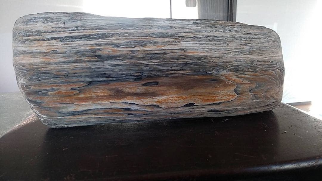 化石　珪化木　木化石　天然石 鑑賞石　水石　ビンテージ　古道具