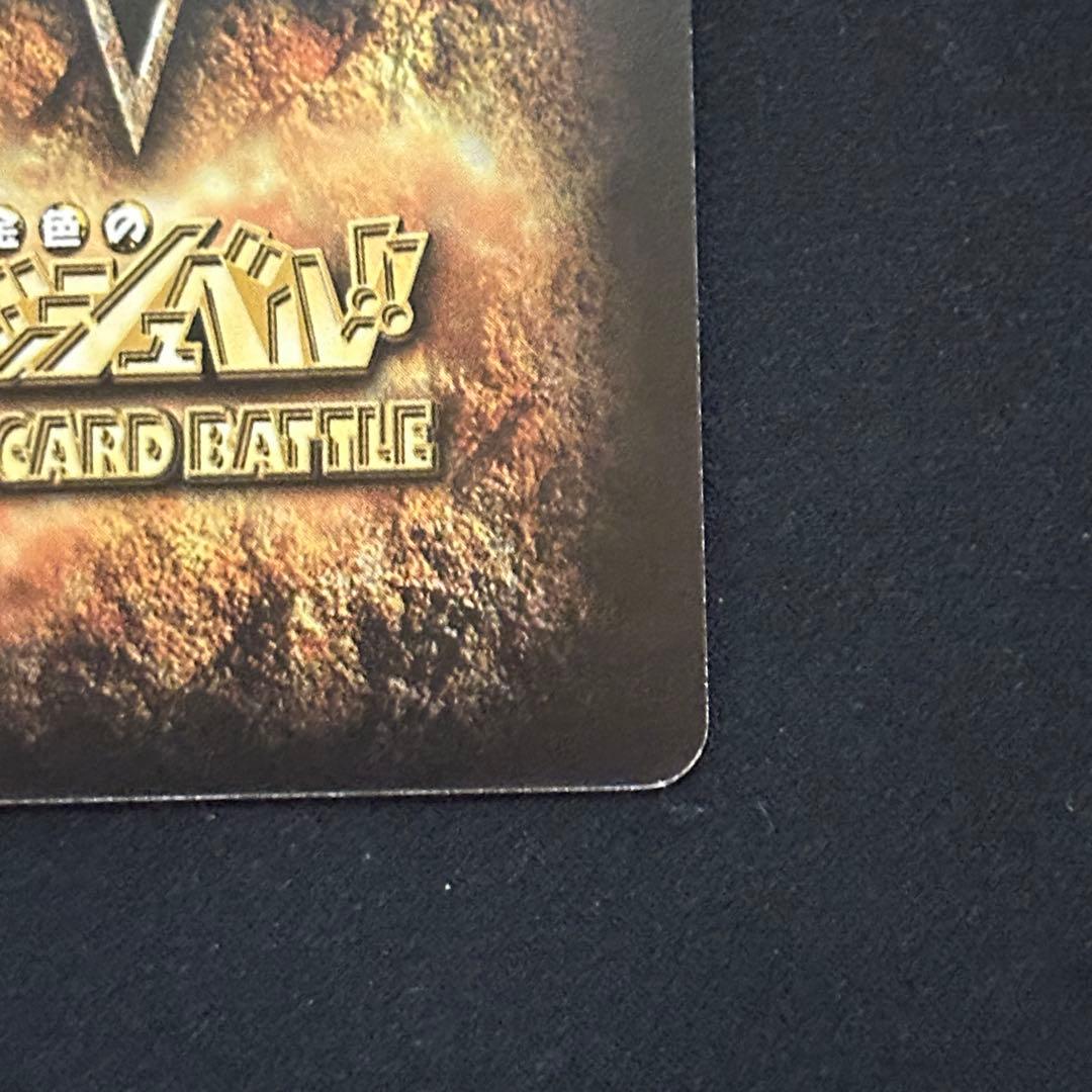 バリー 大きな背中 M-454