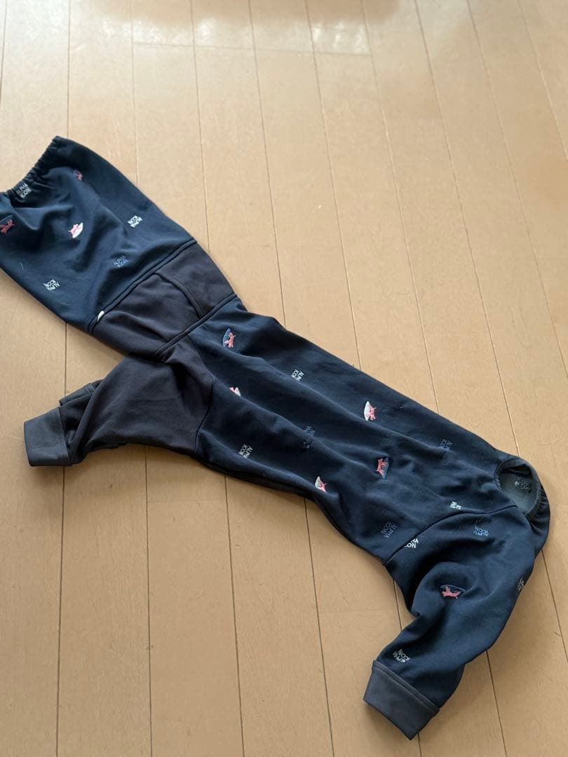 ALPHA ICON ドックガードクール2022