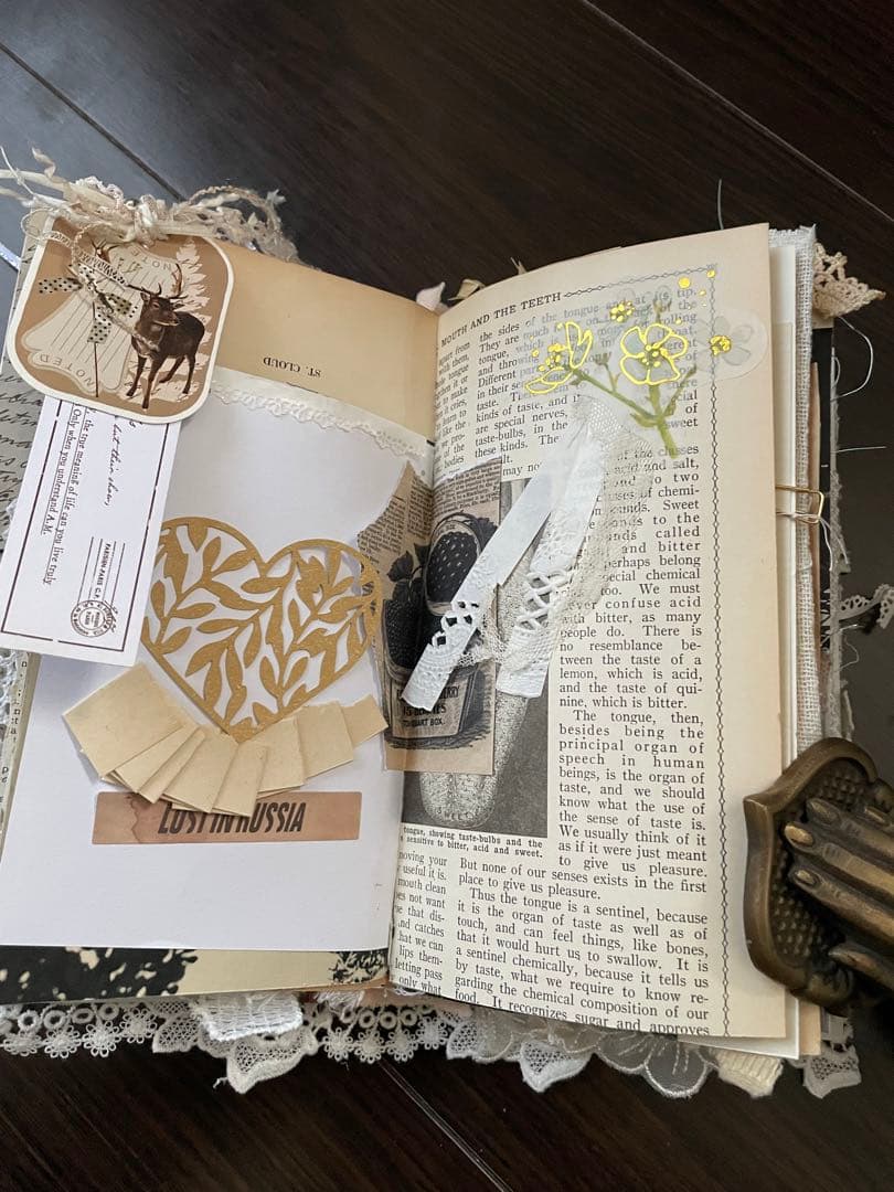 ジャンクジャーナル、B