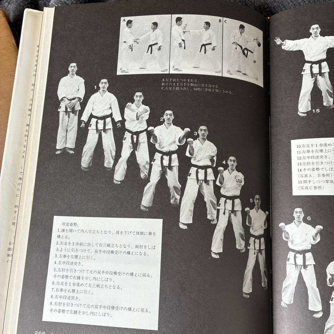 m*n様 【極稀少】空手道型大鑑 坂上賢治 著：糸洲流の真髄「型と分解」の決定版