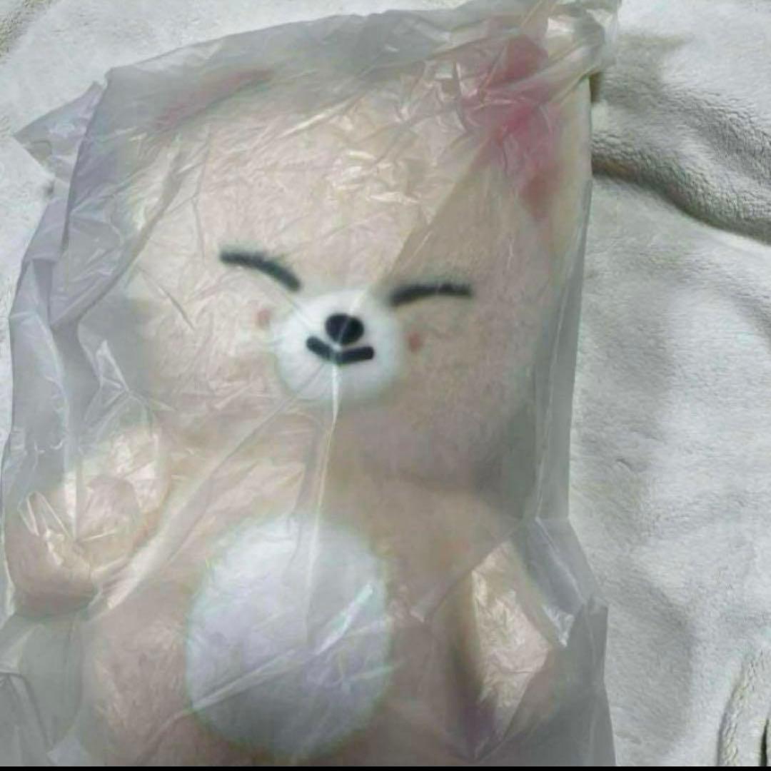 Stray Kids SKZOO テディベア FoxI.Ny