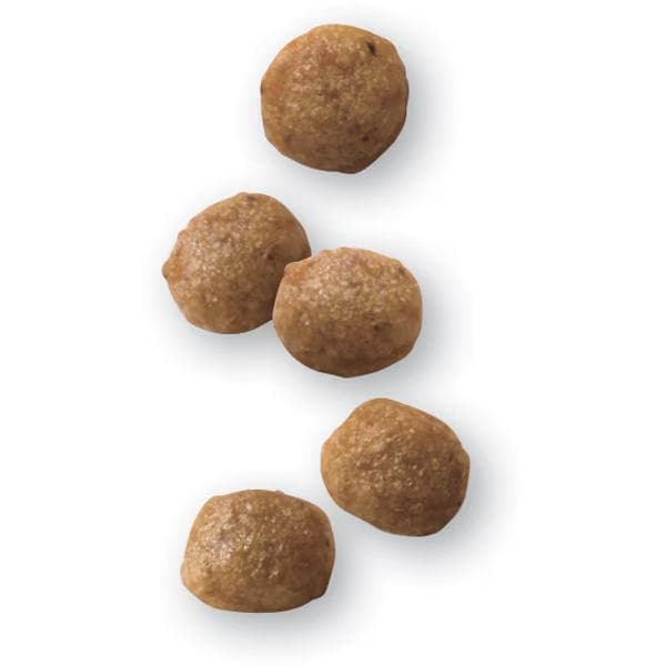  CANIN ロイヤルカナン 腎臓サポート 小型犬用S ドライ 3kg