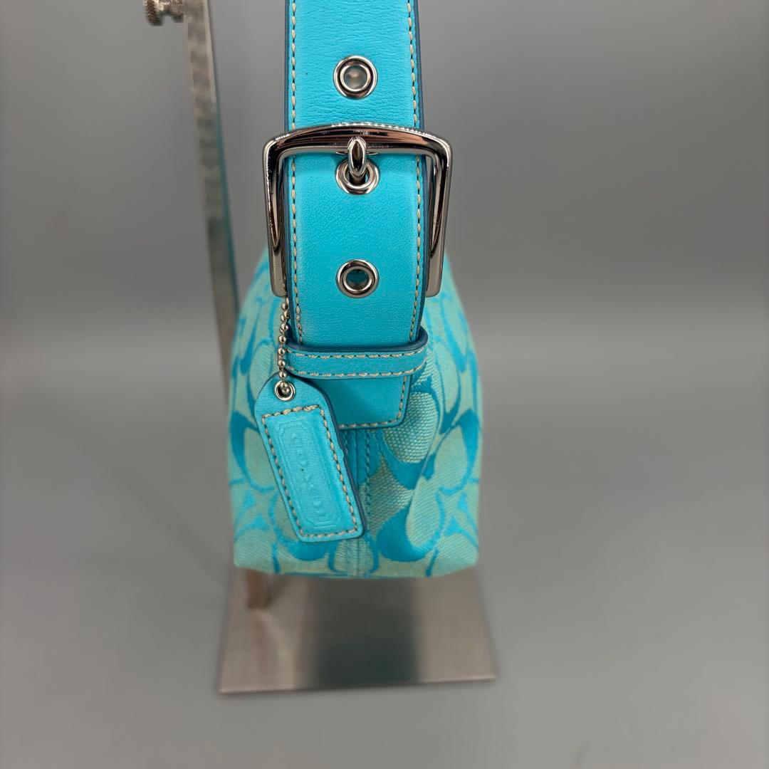 バッグ Coach Baguette Hampton Semi Demi Bag