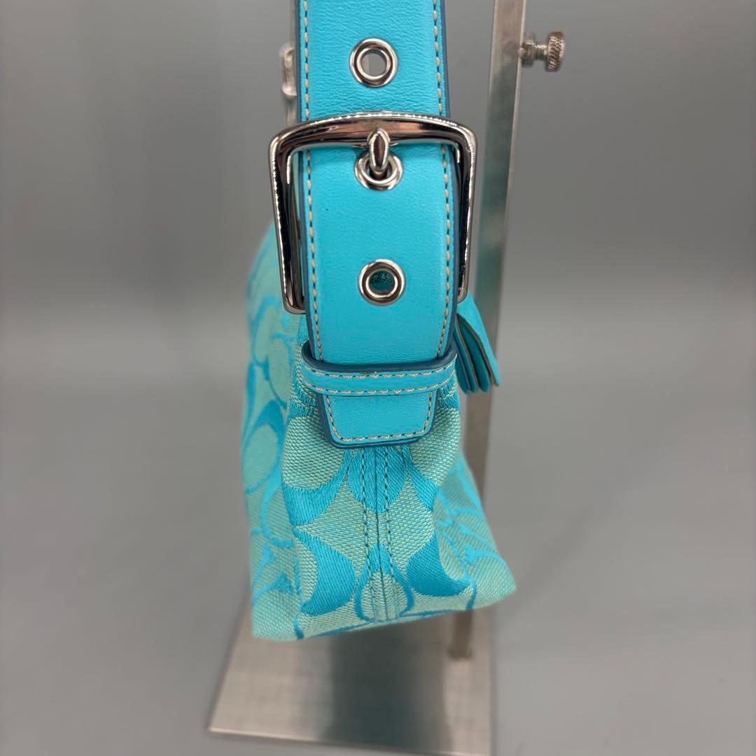 バッグ Coach Baguette Hampton Semi Demi Bag