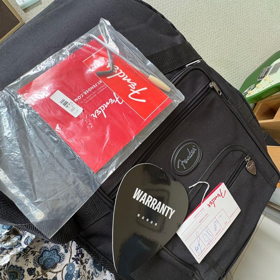 Fender Player Plus Stratocaster グリーン