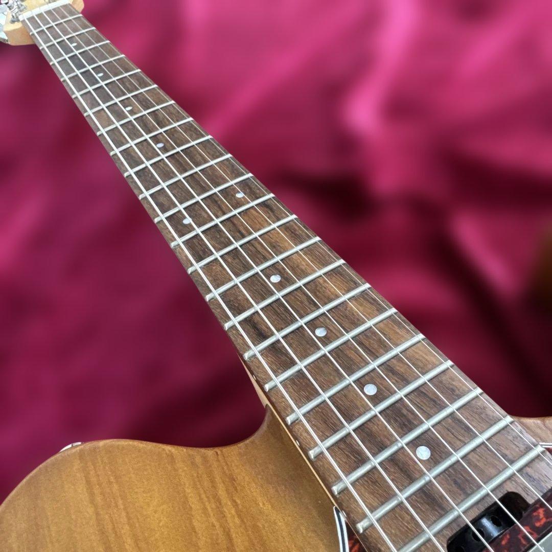 美品 メンテ済 GrassRoots G-THROBBER DX テレギブタイプ