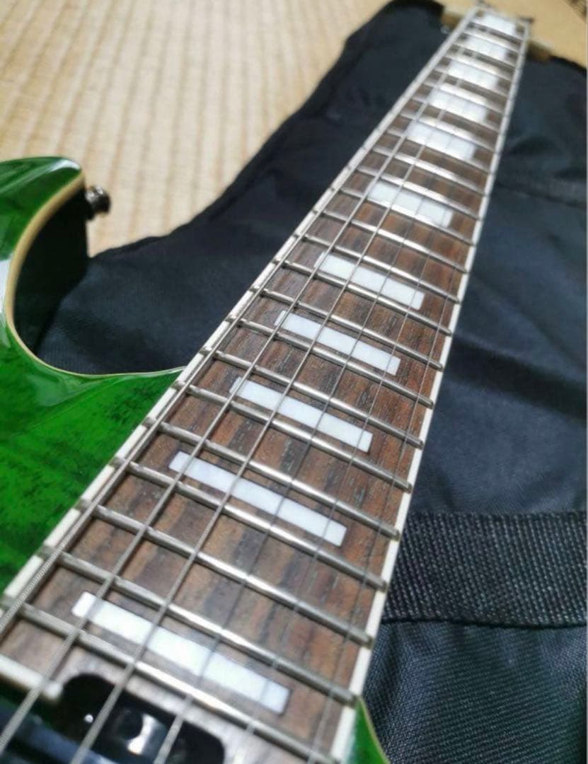 値下げ交渉可 Schecter PA-FC/TH shadows