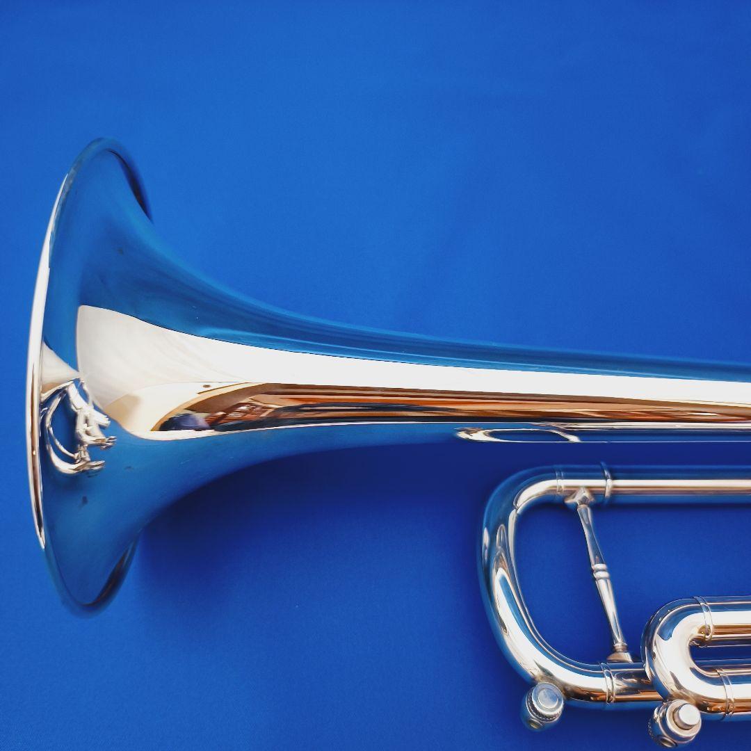 選定品 ZORRO Custom BUILT ModelII