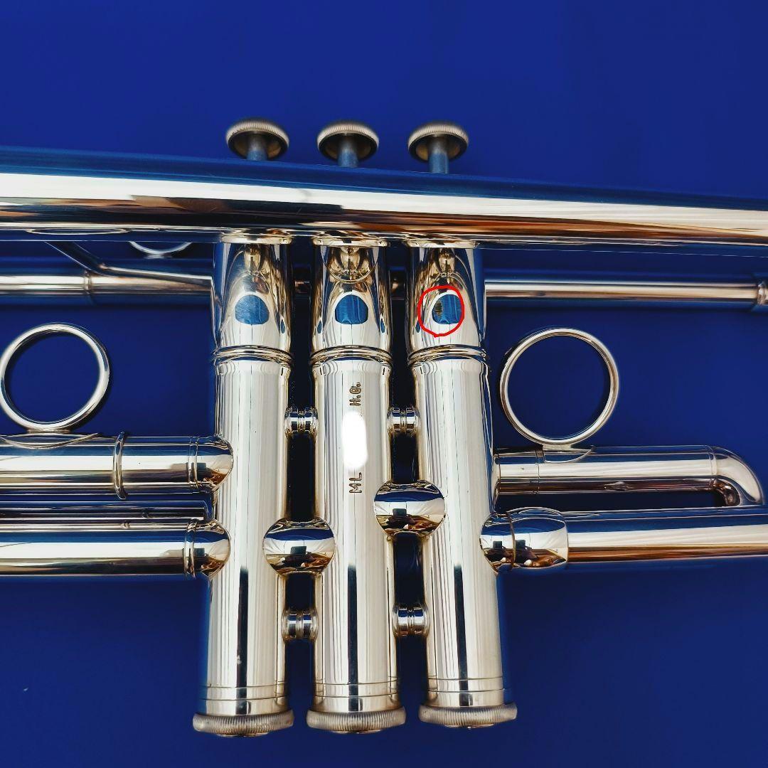 選定品 ZORRO Custom BUILT ModelII