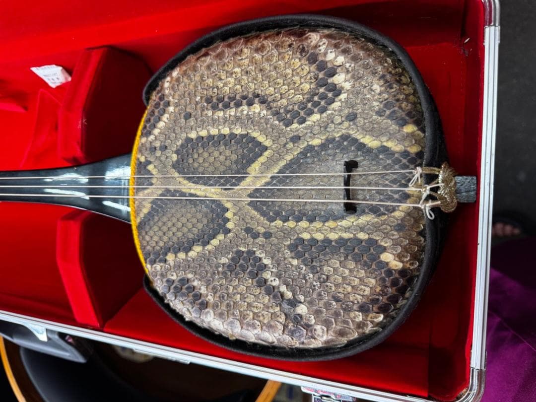 琉球 沖縄 三線 希少本蛇皮張 アルミハードケース 付属品多数