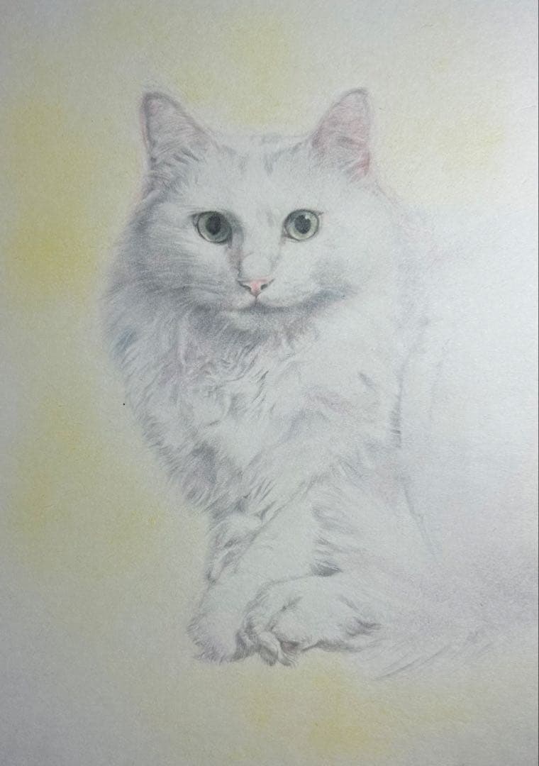 masa7716　猫猫　絵画