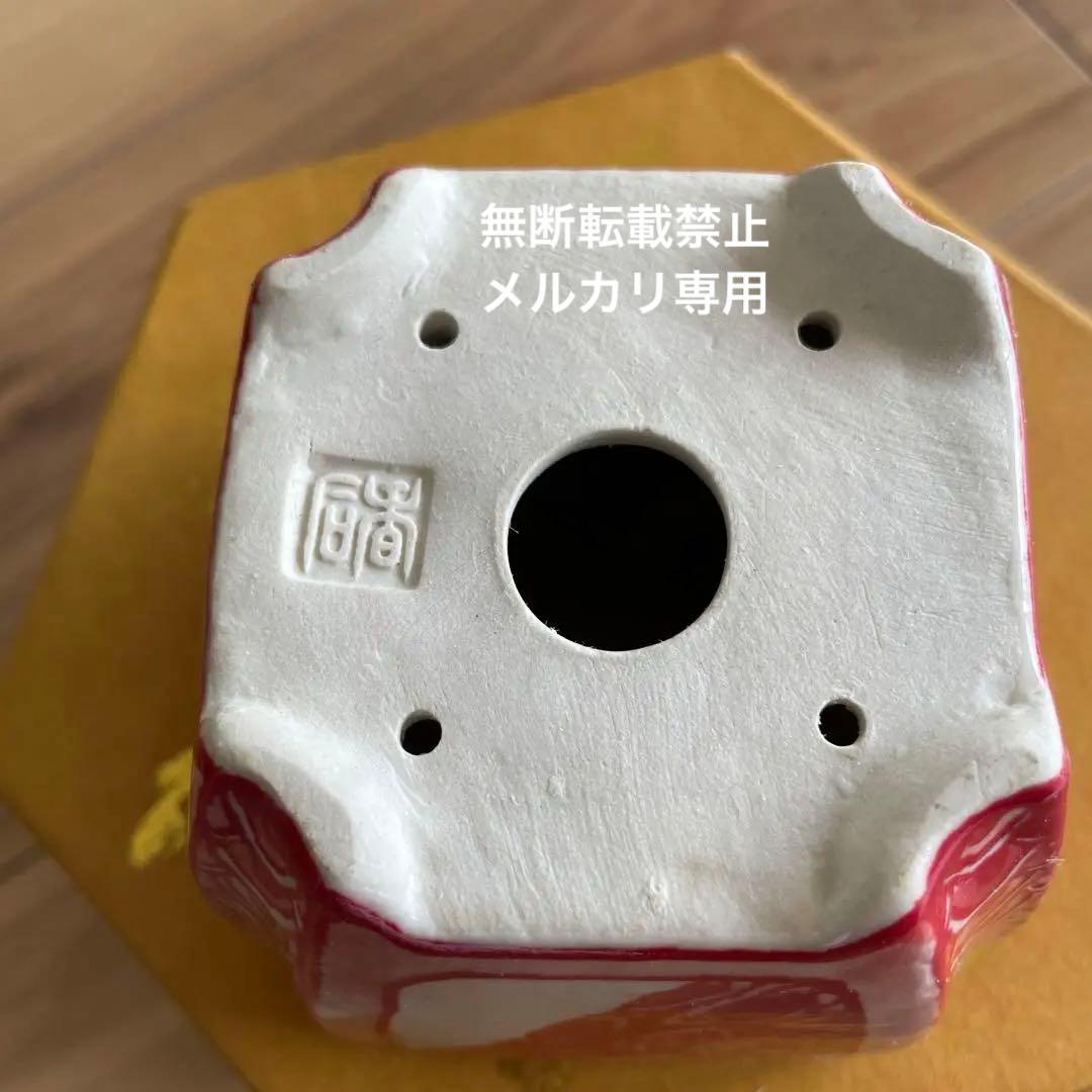 盆栽鉢　桑津香石　絵鉢　四角　松　鳥　赤絵　小品盆栽