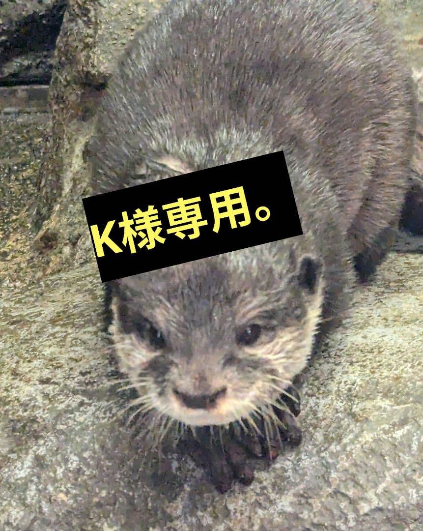 その他 K