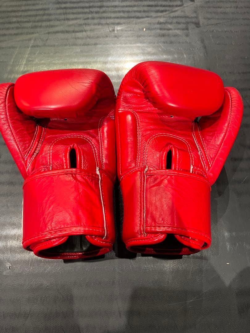 [値下済]Fairtex ボクシンググローブ 8oz レッド