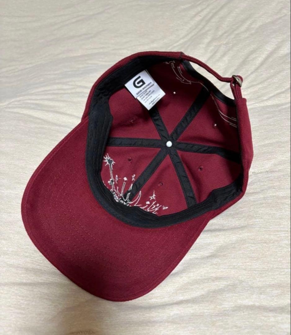 Aquilvalen ztheorie 刺繍キャップ