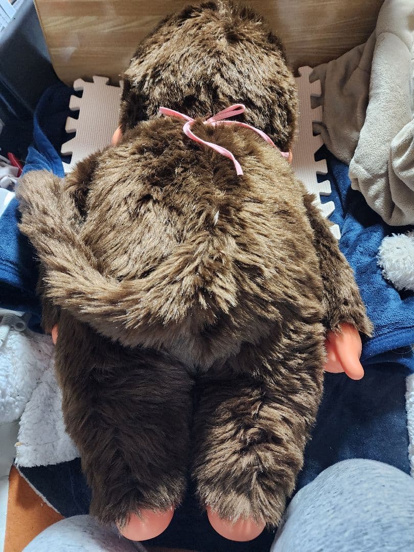 プレミアムスタンダードブラウンモンチッチ2L女の子