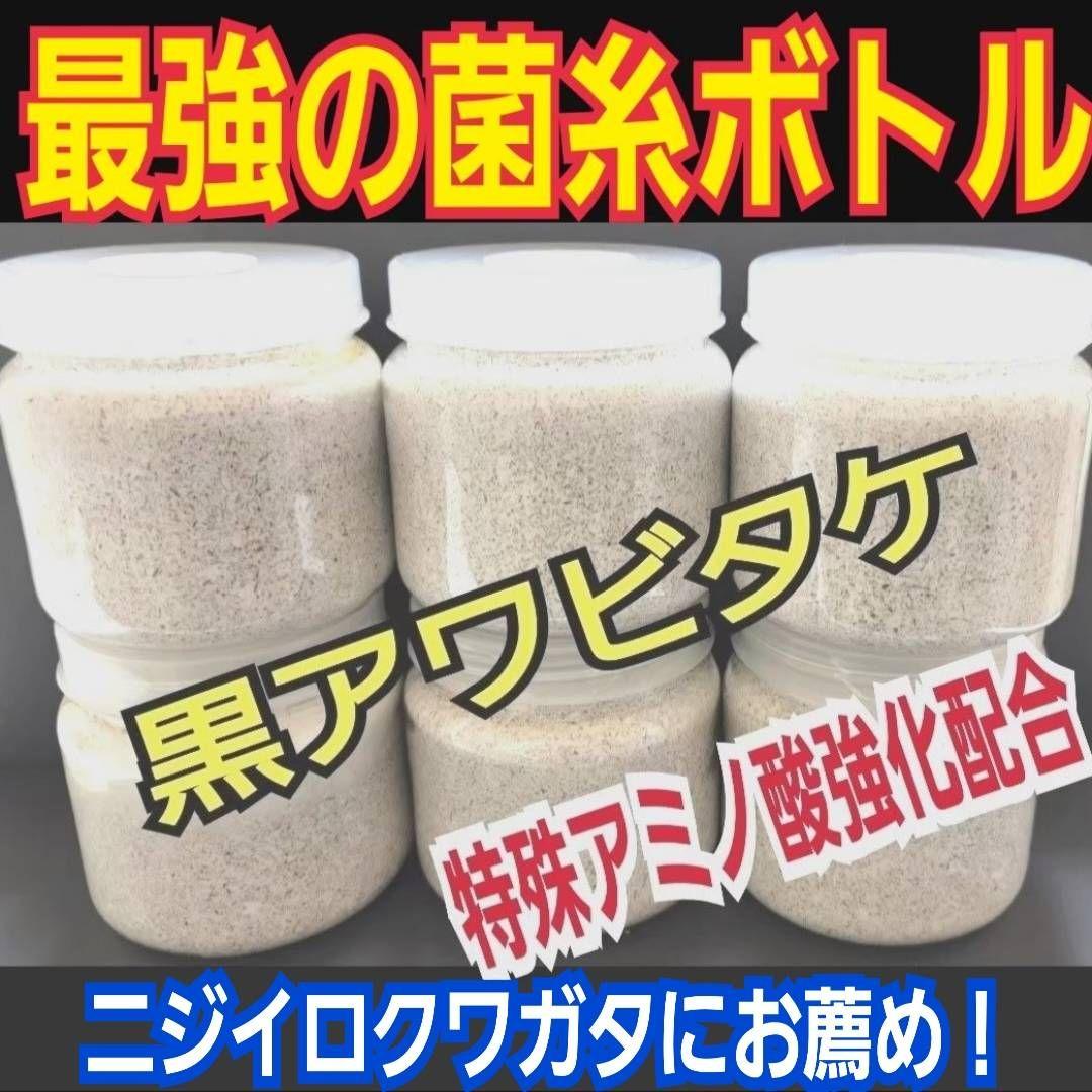 ニジイロクワガタにお薦め！極上！黒アワビタケ菌糸瓶【10本】トレハロース強化配合
