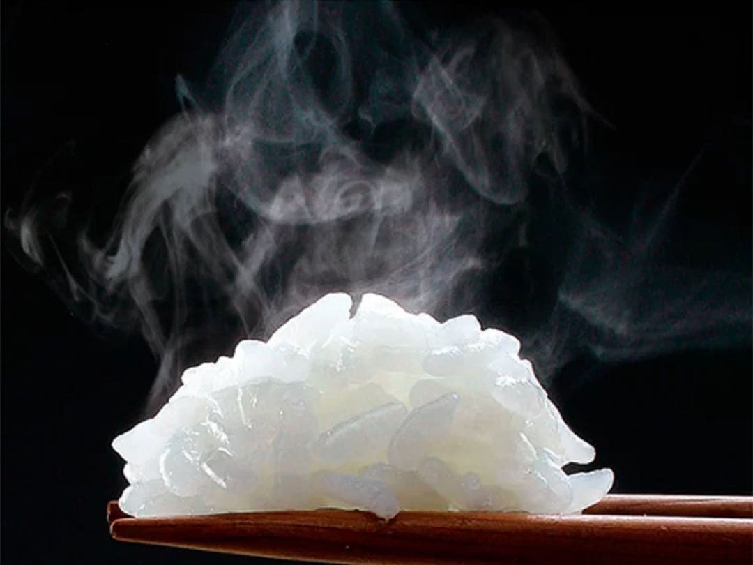 象印マホービン 炊飯器 STAN IH炊飯ジャー 5.5合 NW-SA10