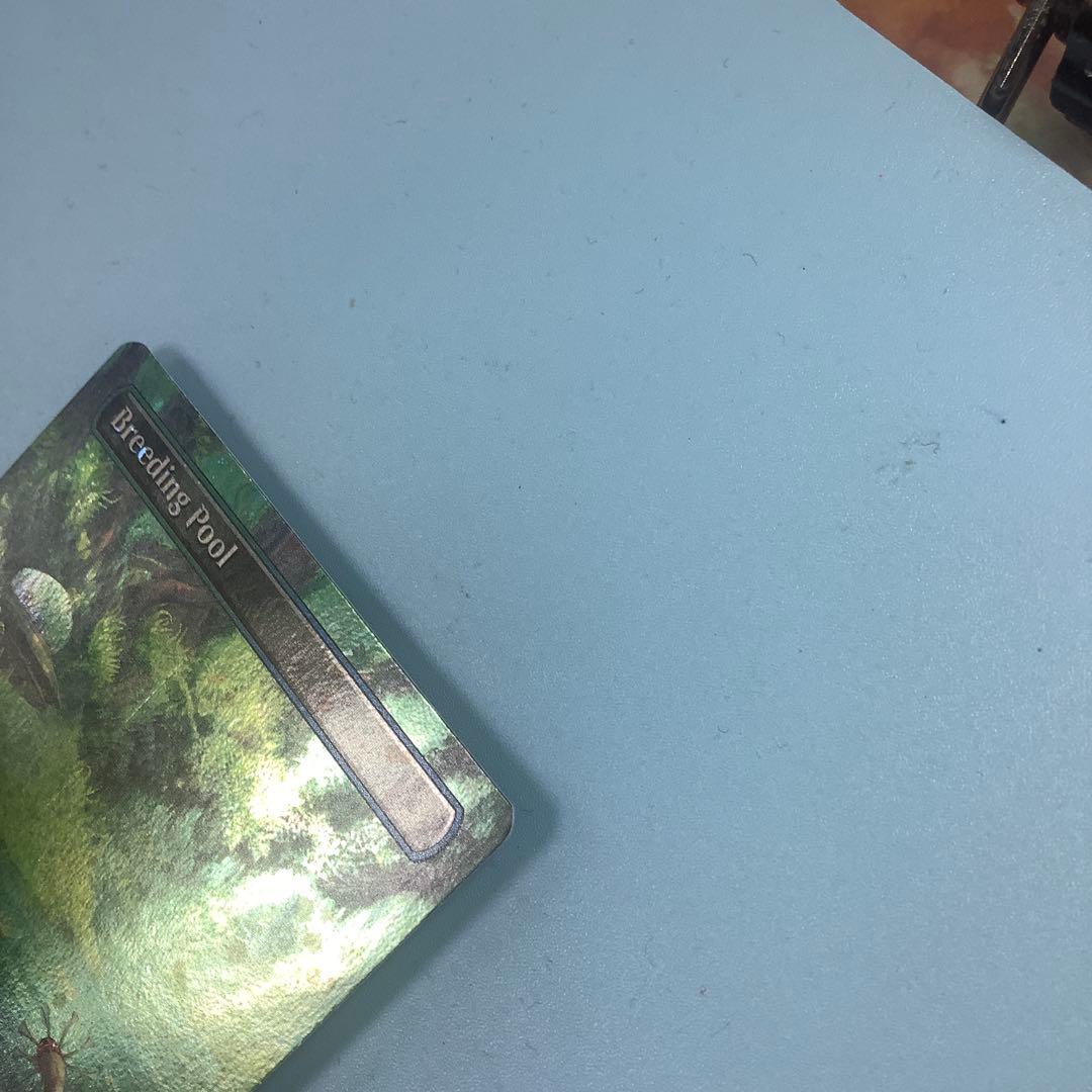 繁殖池/Breeding Pool UNF 英語　ボーダレスギャラクシーfoil