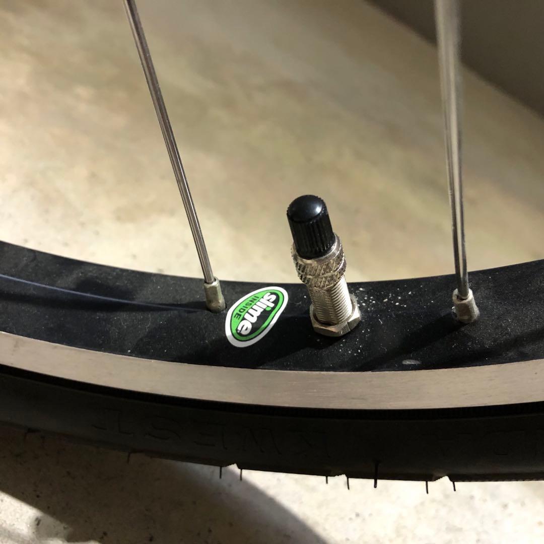 送料込LOUIS GARNEAU ルイガノ　子供用自転車　18インチ