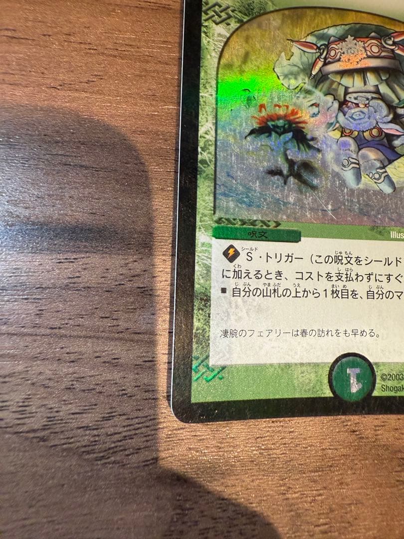 【数量限定】フェアリーライフ 初期 プロモ ラスト1枚