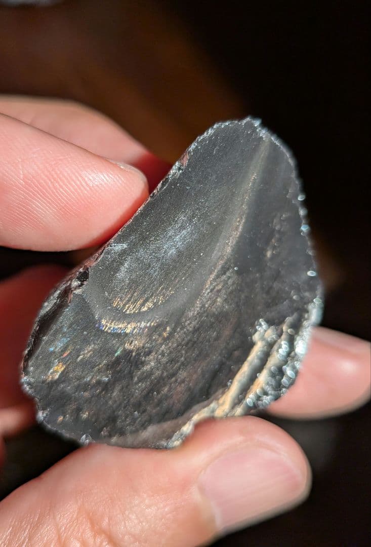 原石　十勝石玲瓏　ゴールデンレインボーオブシディアン