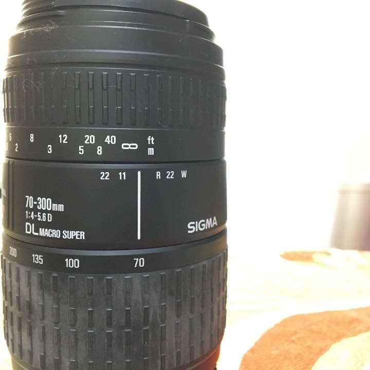 望遠/SIGMA