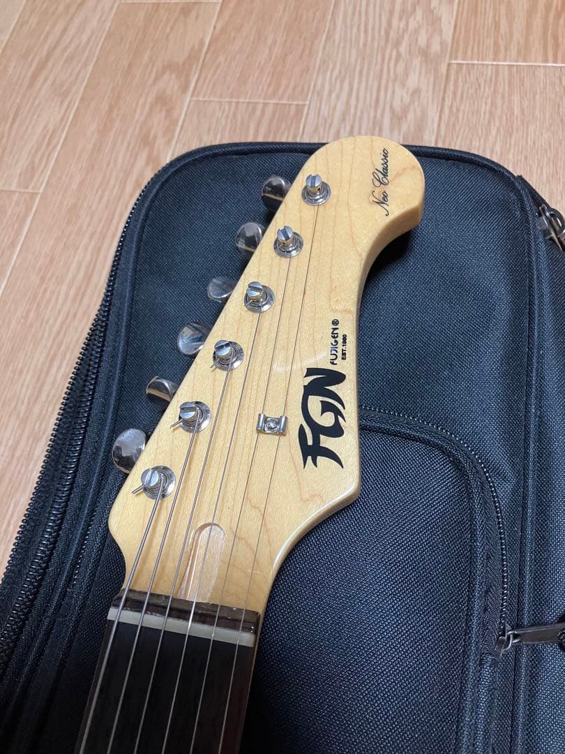 ギター FUJIGEN NST100 RAL OLP