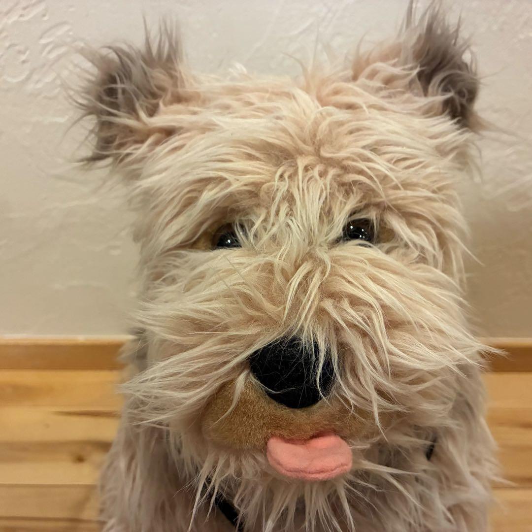 超希少‼️アインシュタイン ぬいぐるみ USJ バックトゥザフューチャー タグ付き