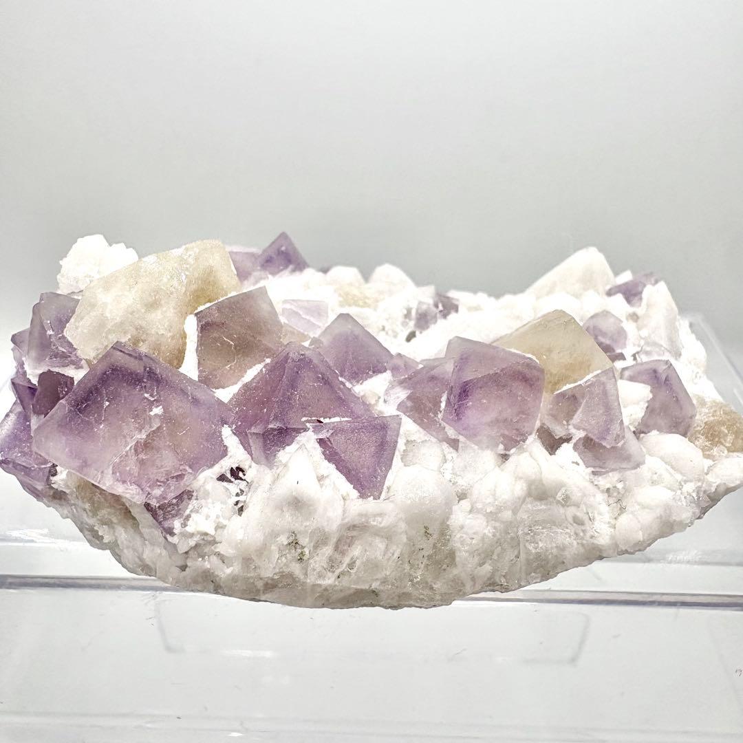 565 中国内モンゴル産　八面体フローライト&シェーライト