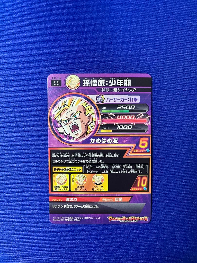 H2-16 孫悟飯:少年期 本家