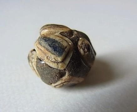 ★G2702★古代とんぼ玉 (A46)リアル！ 重層　8個の眼文　ガラスビーズ