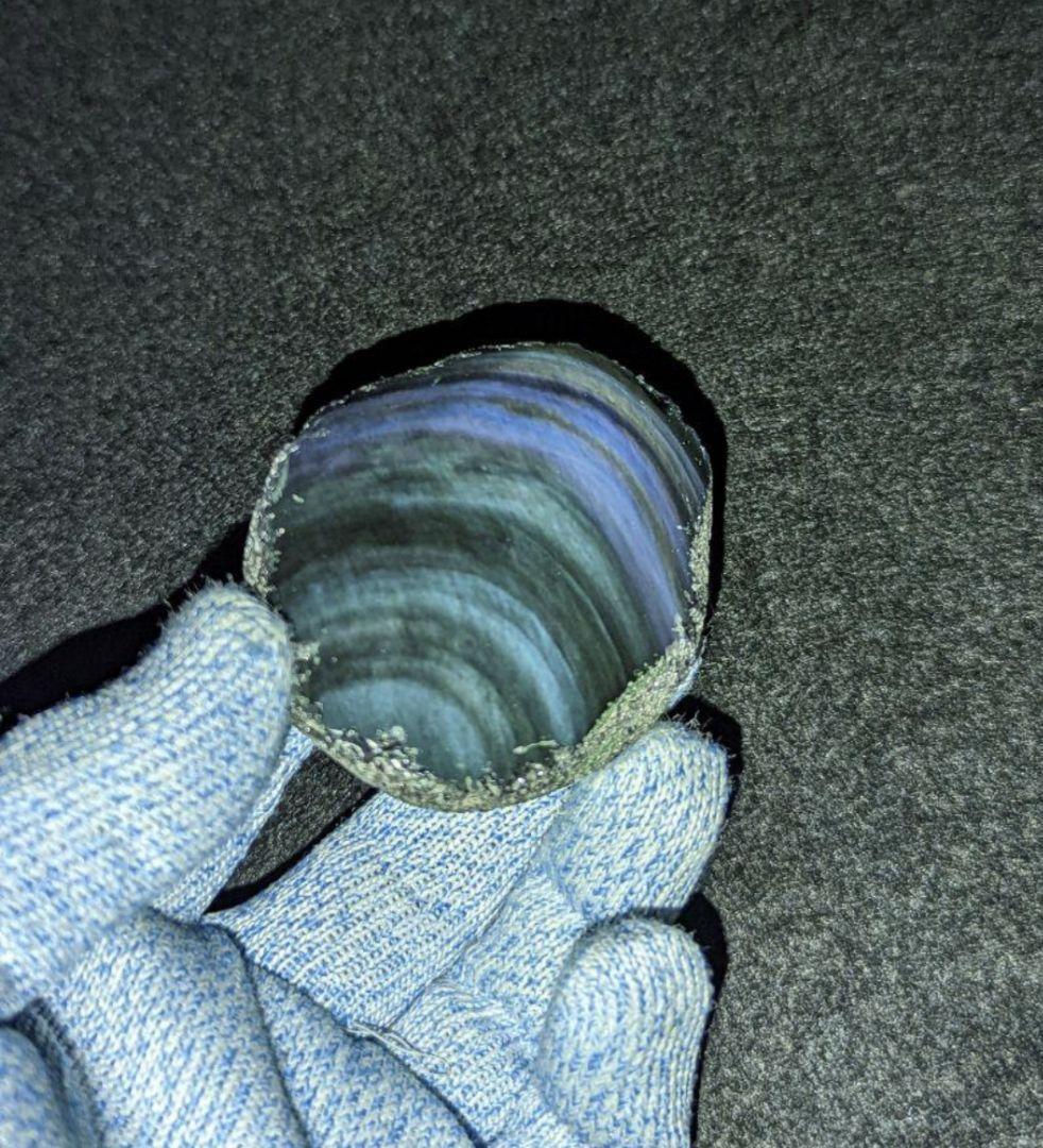 【研磨品】十勝石玲瓏　北海道産レインボーオブシディアン　十勝石　玲瓏石　北海道石