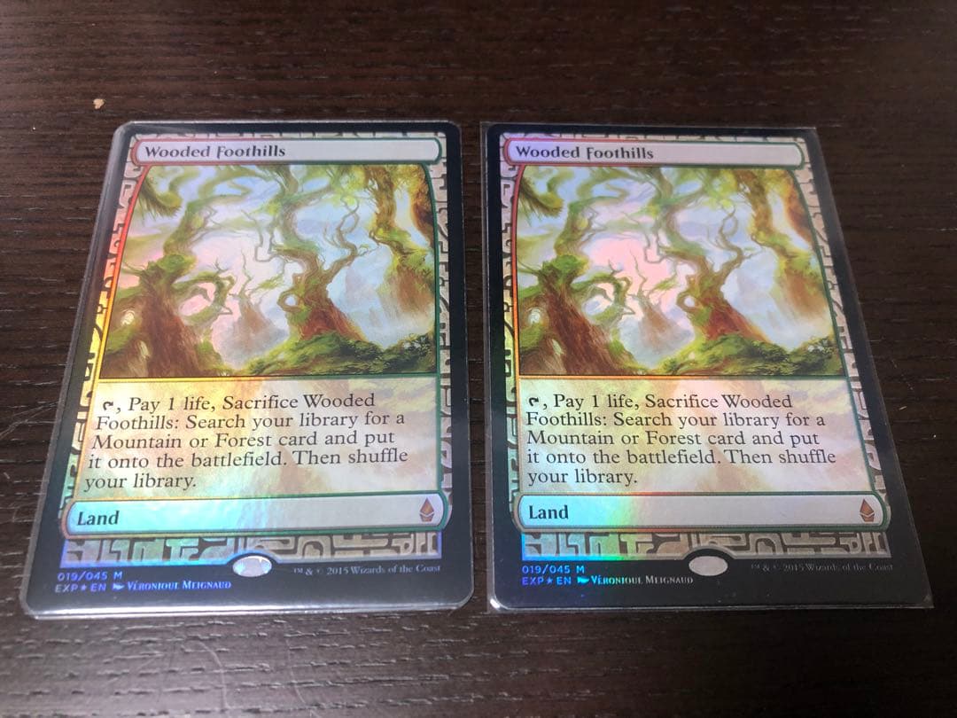 樹木しげる山麓　exp 2枚セット