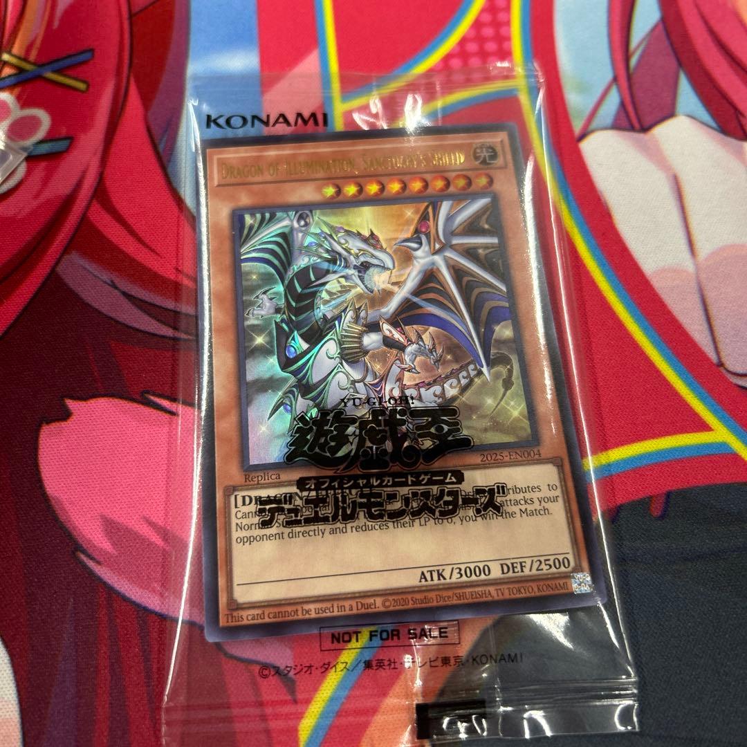 日本選手権　プロモ　優勝